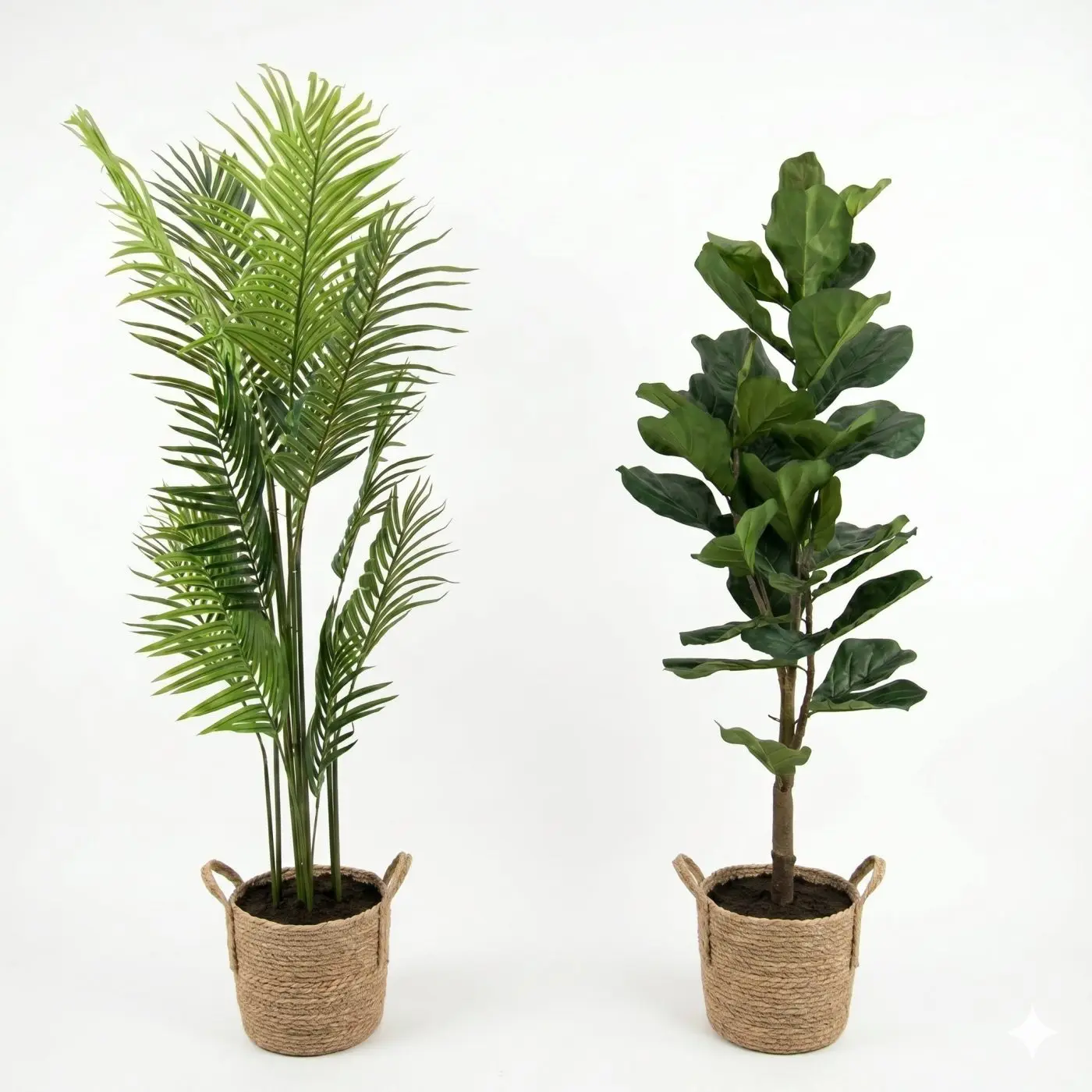 <hide>Decor – </hide>5' Assorted Evergreen Tree - Image 2
