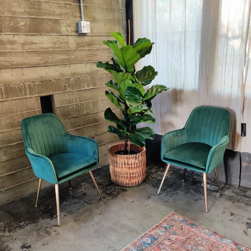 <hide>Chair – </hide>Pine Velvet - Image 2