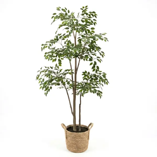 <hide>Decor – </hide>5' Assorted Evergreen Tree