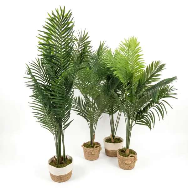 <hide>Decor – </hide>5' Assorted Palm Tree