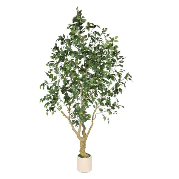 <hide>Decor – </hide>9' Ficus Tree